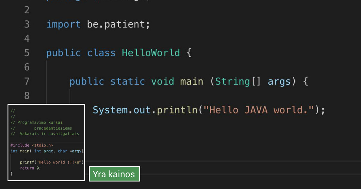 Asmeniniai, nuotoliniai programavimo mokymai. - Vilnius / Programavimo ...