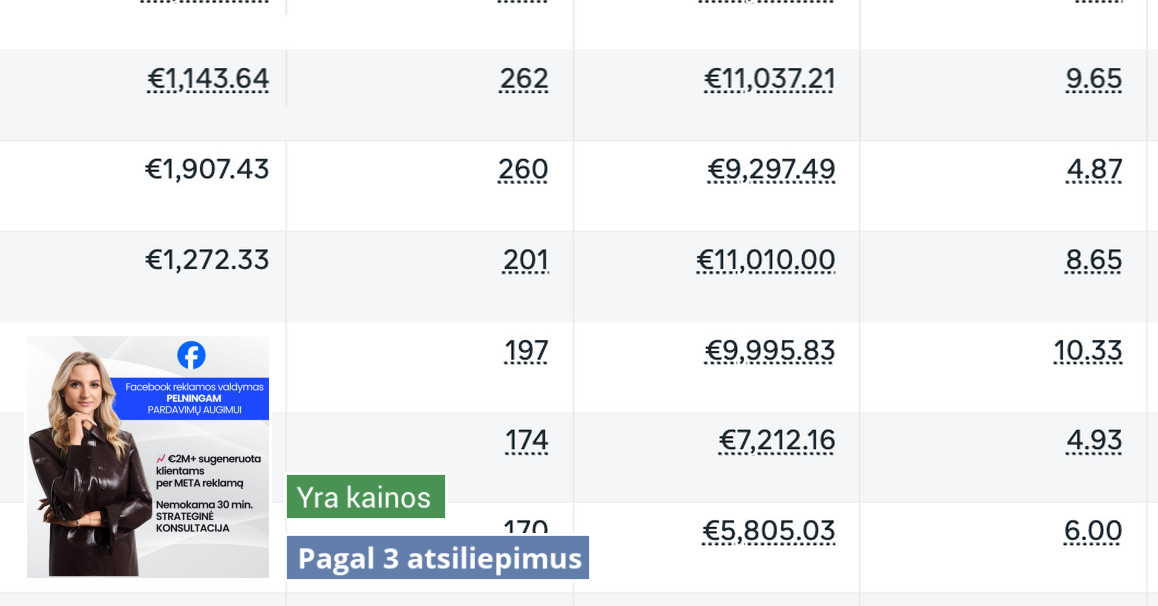 Meta Reklamos Facebook reklamos ekspertė, Pardavimų augimas per Meta Ads - Vilnius ...